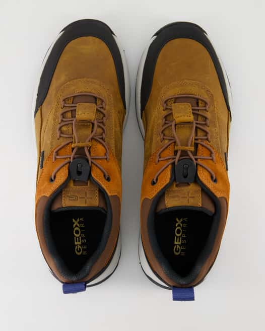 Geox Sterratrail Sneaker in Braun