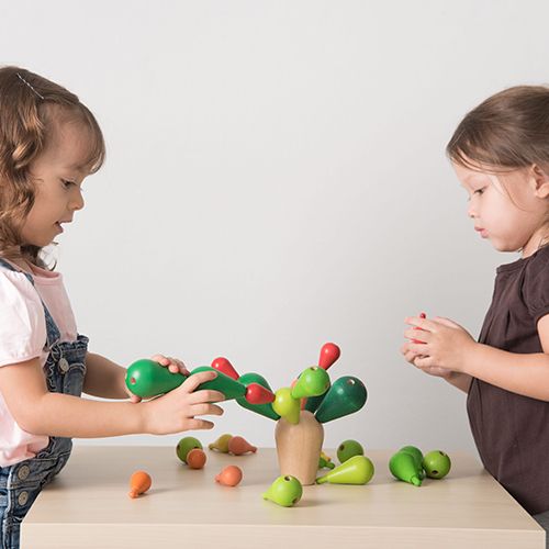 Plan toys balanceerspel cactus 4101