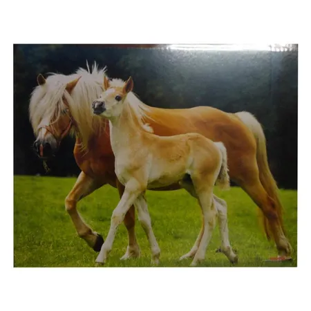 Loer & Schäfer Schreibtischunterlage mit Pferdemotiv, 44 x 35 cm