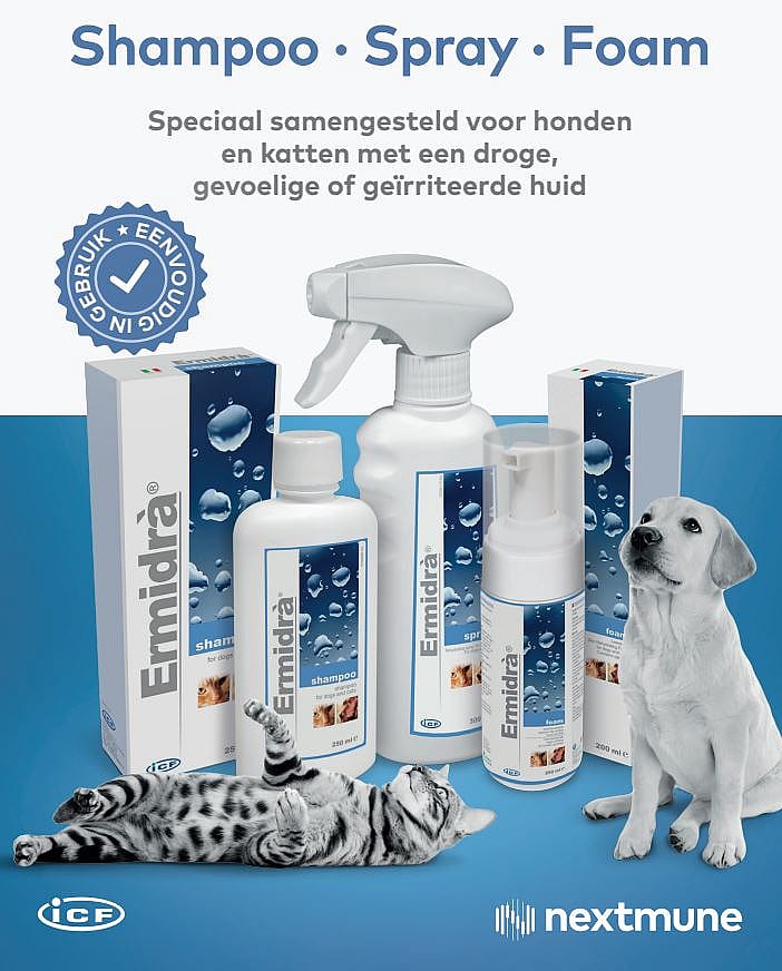 Ermidra Shampoo Hond Kat | 12006