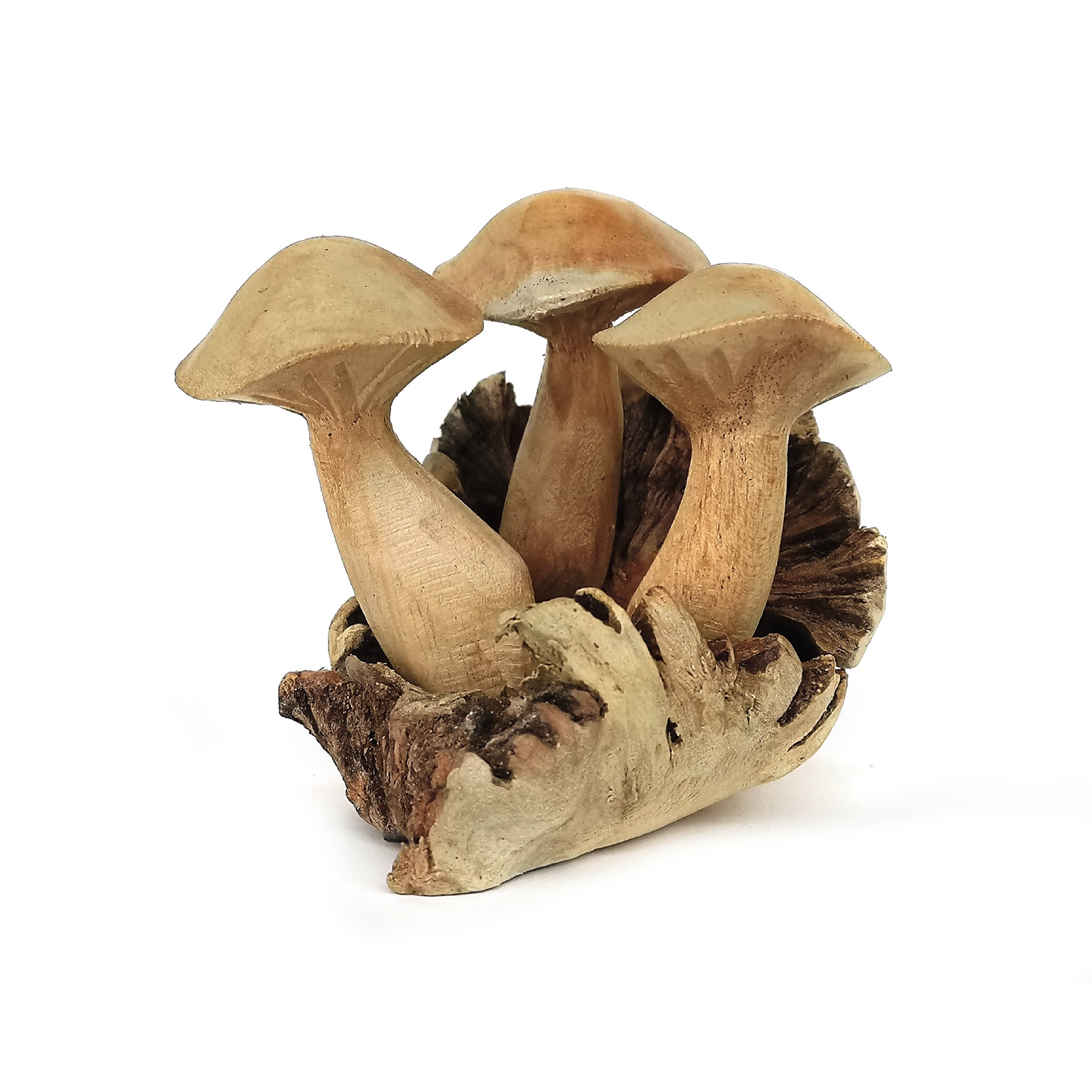 Figur 'Steinpilz' aus Holz, Ø 9 cm, H 10 cm von fischer's lagerhaus