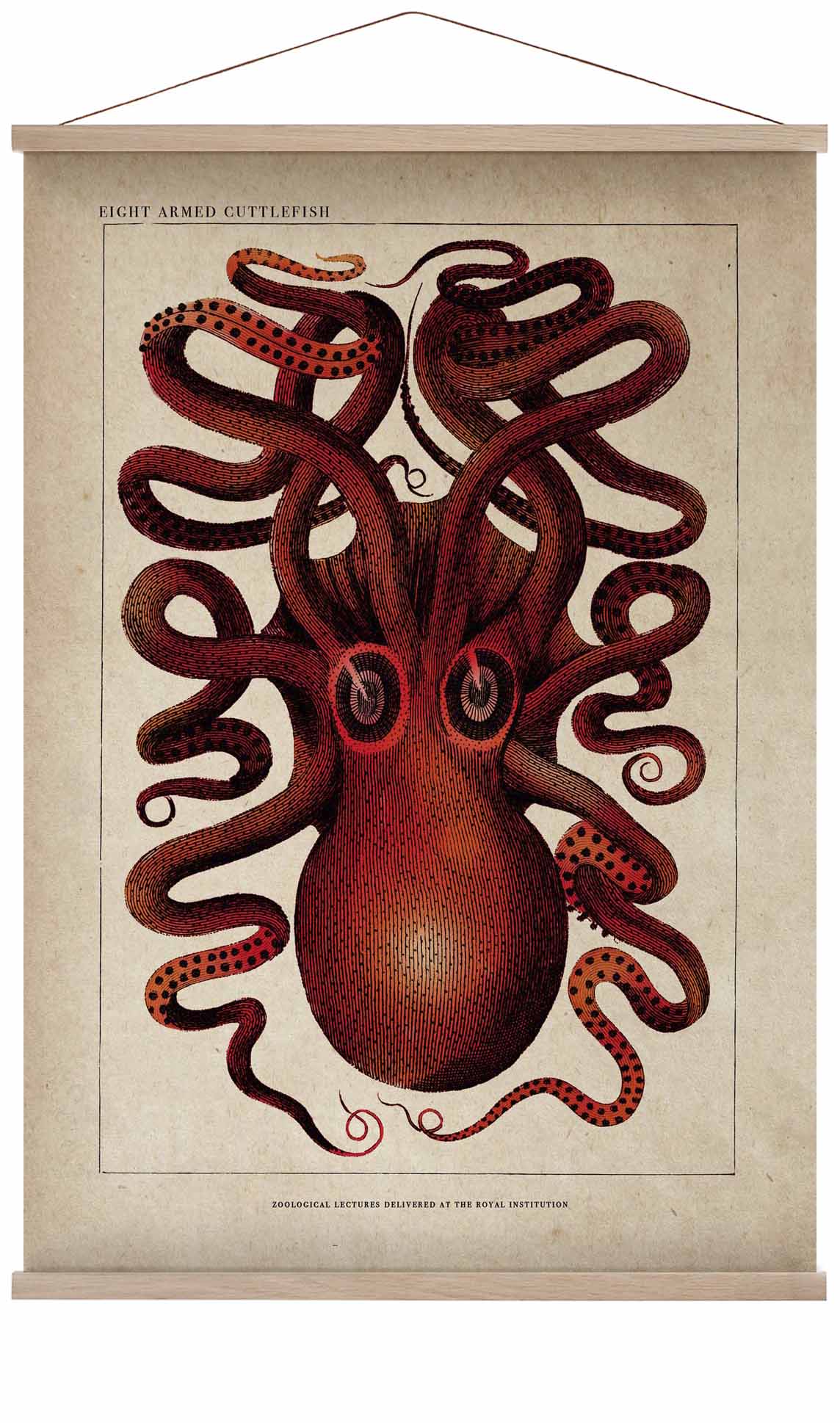 Antiker roter Oktopus