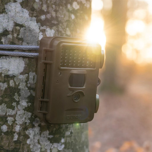 Dörr Wildlife Camera Snapshot Mini 30MP 4K