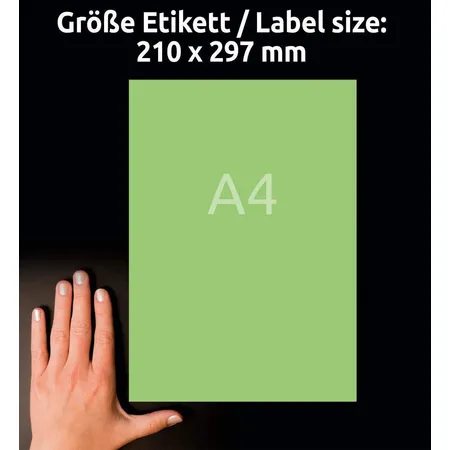 Avery Zweckform 3472 Farbige Etiketten,A4 210 x 297 mm, 100 Bogen/100 Etiketten, grün