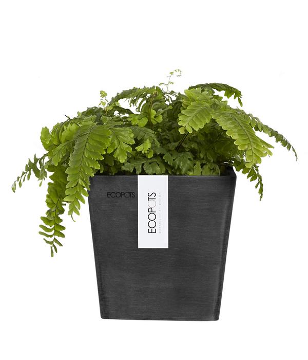 Ecopots Kunststoff-Kasten Manhattan Wall mit
