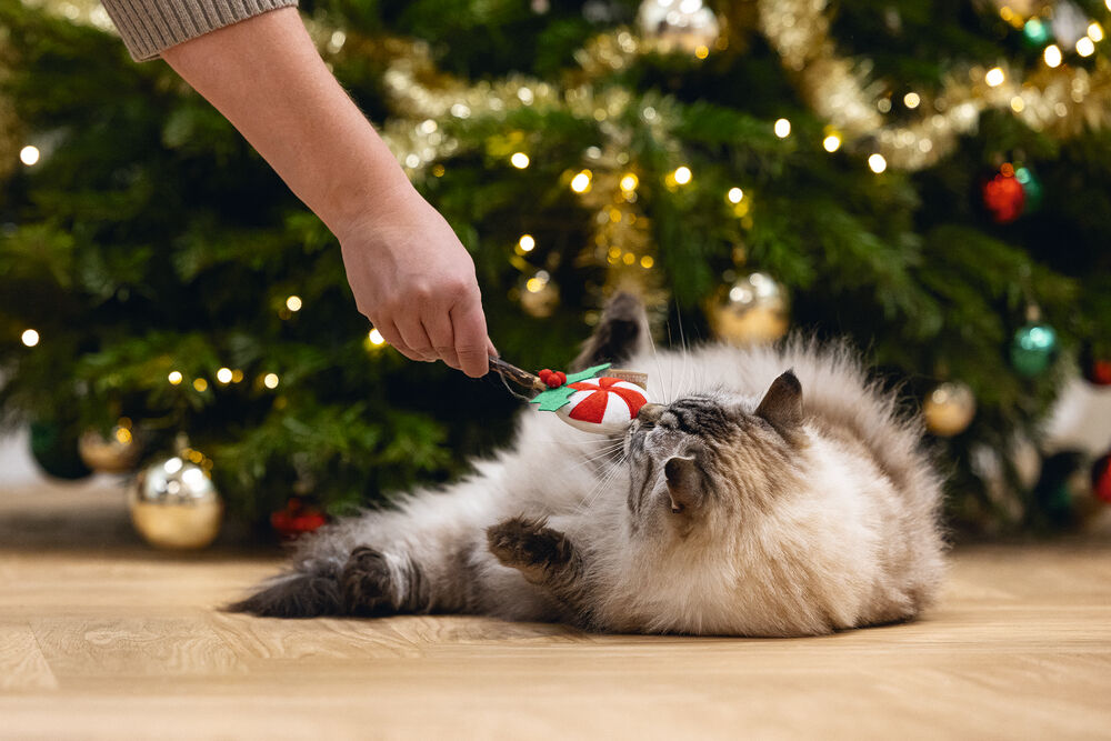 Beeztees Kerstlolly Matatabi - Kattenspeeltje - 14 cm