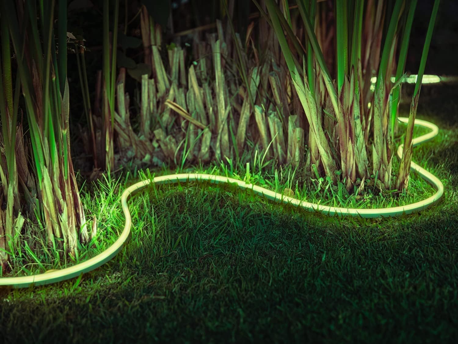 Philips Hue White & Color Ambiance Outdoor Lightstrip (2 m), dimmbarer LED Streifen für das Hue Lichtsystem mit 16 Mio. Farben, smarte Lichtsteuerung über Sprache oder App