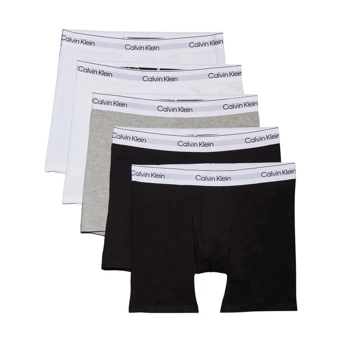 Calvin Klein Icon Cotton Stretch Brief Boxershorts Heren (5-pack)