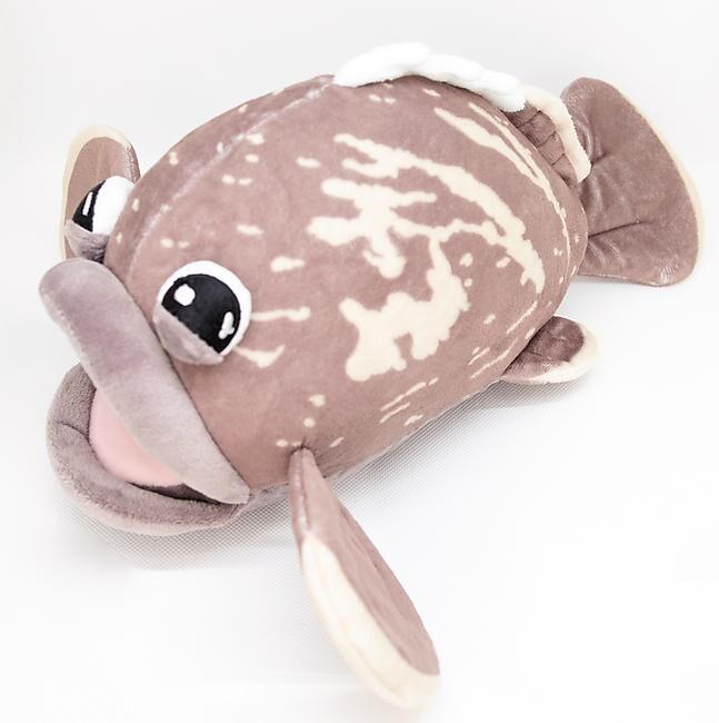 LES PELUCHES DE MARIUS - PELUCHE MEROU TOUT COURT