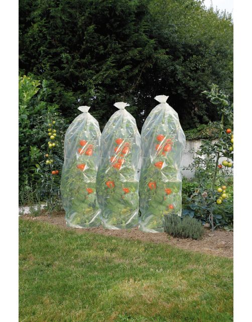 Nature Tomatenhoezen - Beschermhoes - 50x50x1500 cm Transparant