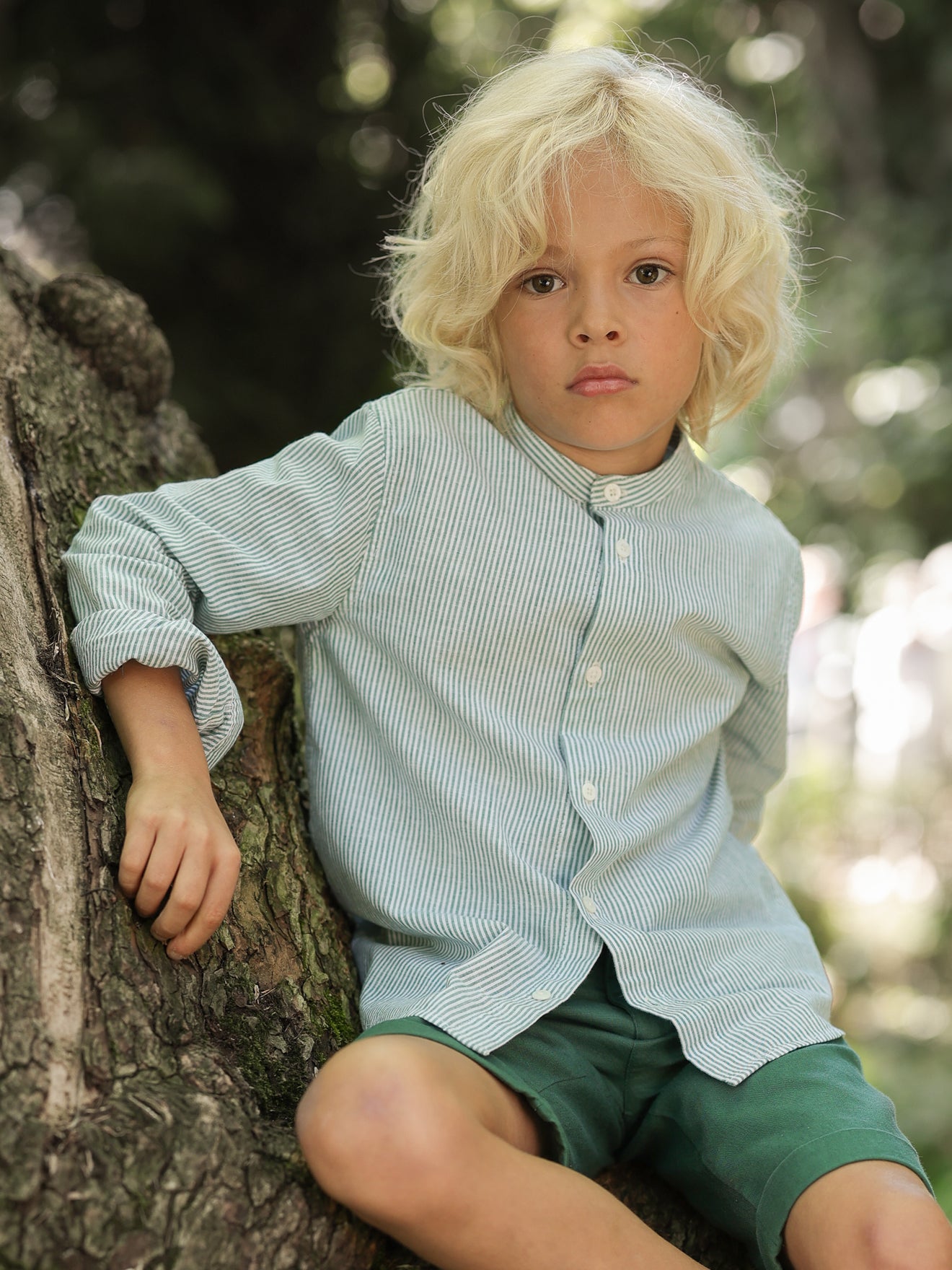 Chemise - Collection Fêtes et Mariages