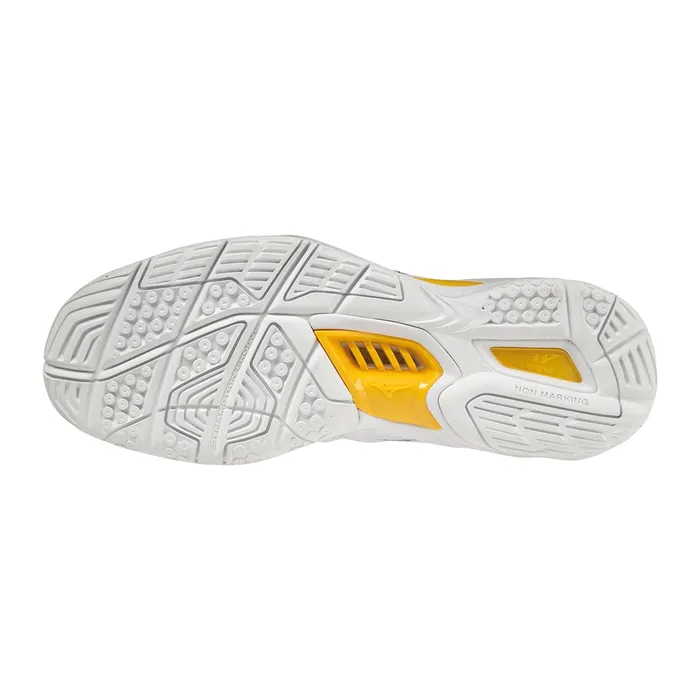 Mizuno Wave Stealth V Handbalschoenen Senior