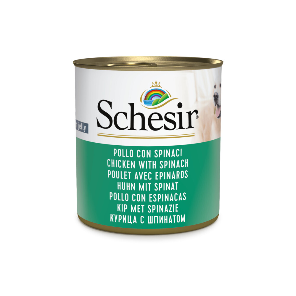Schesir Hondenvoer Kip Spinazie in Gelei285 gr