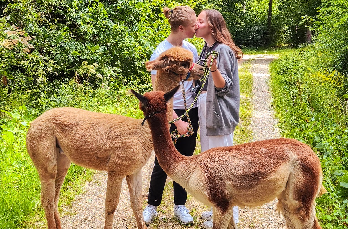 Alpaka Wanderung für 2 Jettingen-Scheppach