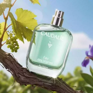 Eau Fraîche Eau des Vignes - 50ml