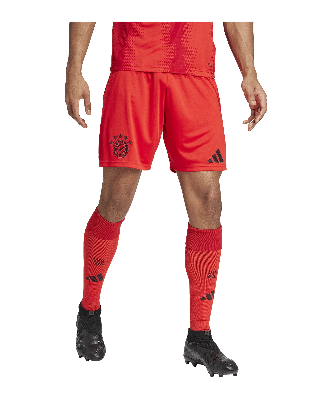 adidas FC Bayern München Short Home 2024/2025 Rot