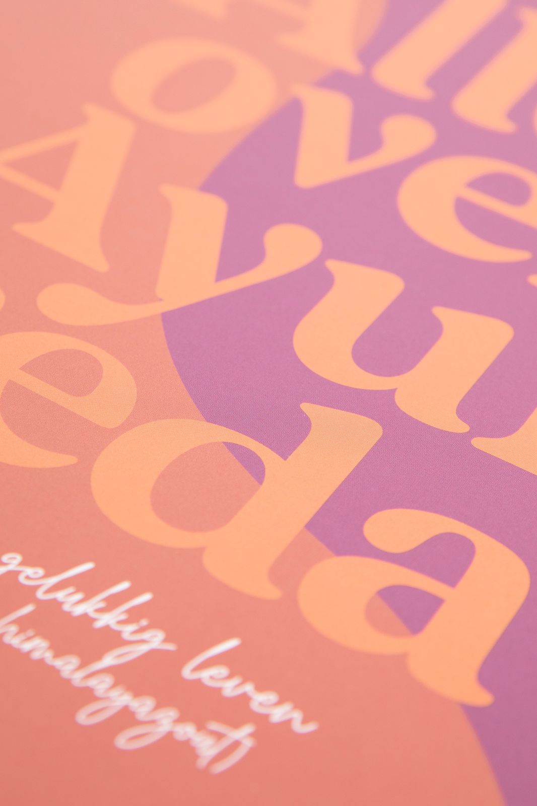 Boek Alles over Ayurveda