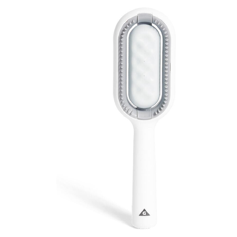 Brosse pour chien et chat toilettage et attrape-poils avec réservoir d'eau