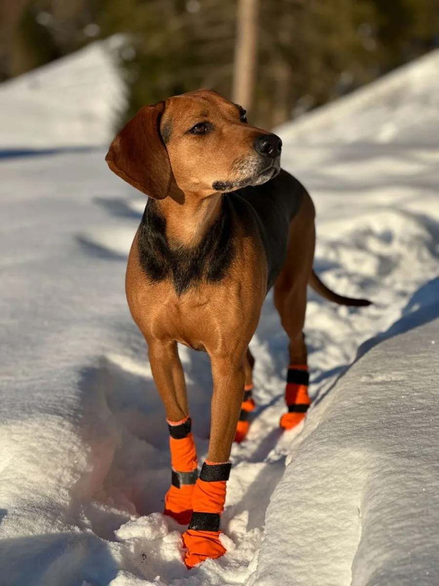 Non-stop Dogwear Contact Bootie High Orange