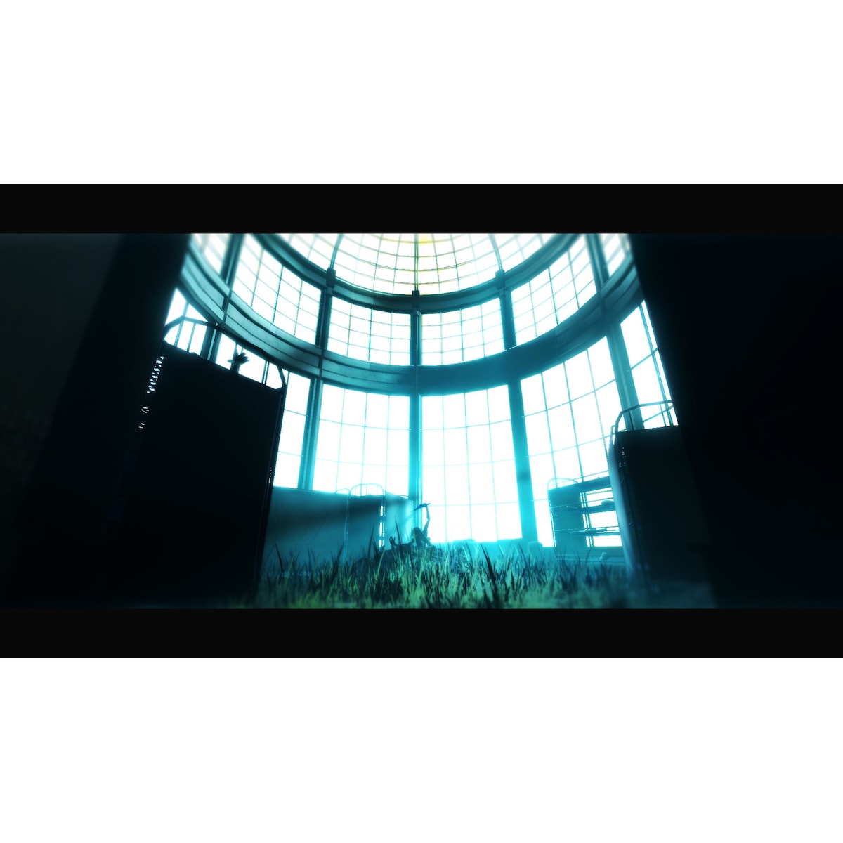 Acanthoceras - PC Windows