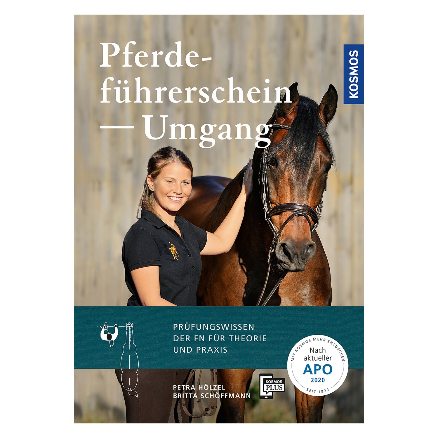 Pferdeführerschein - Umgang