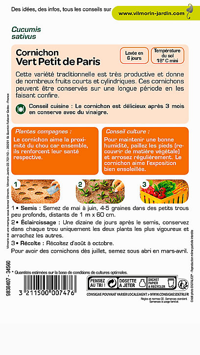 Graines de Cornichon Vert Petit de Paris Vilmorin