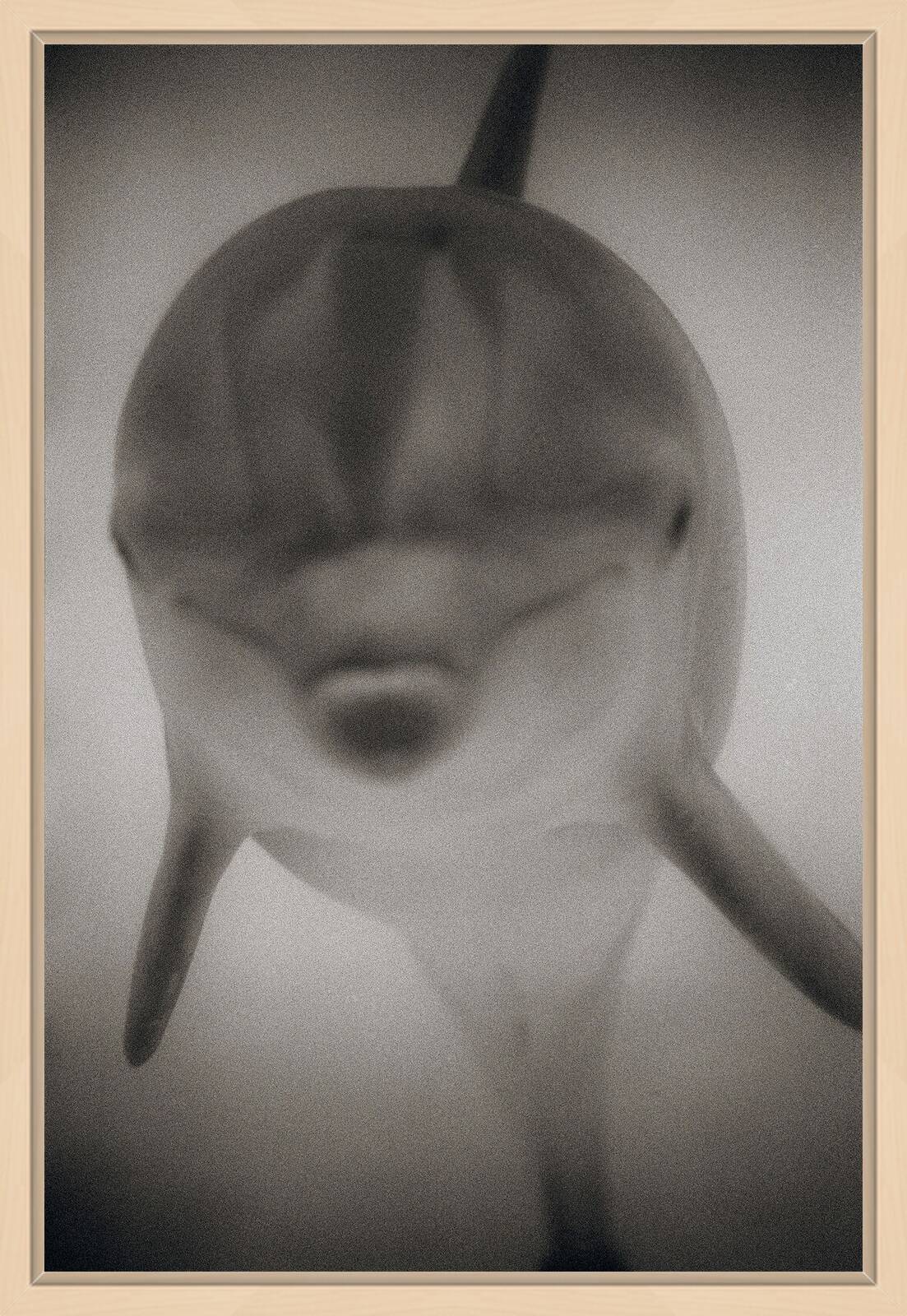 Bottlenose Dolphin II by Henry Horenstein - Open Edition.