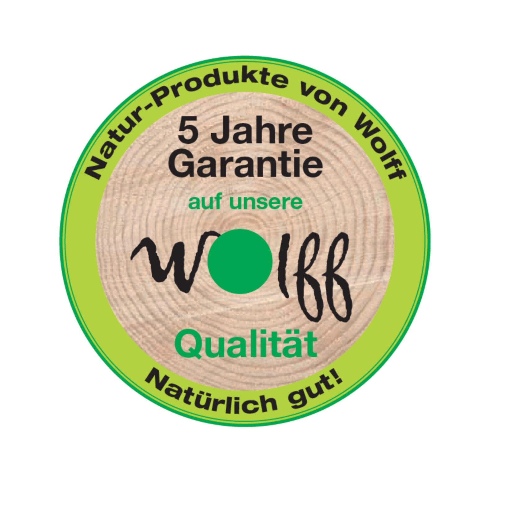 Wolff Finnhaus Gartenhaus Varianta B mit SD/Rückwand/Terrassenfußboden 250 cm