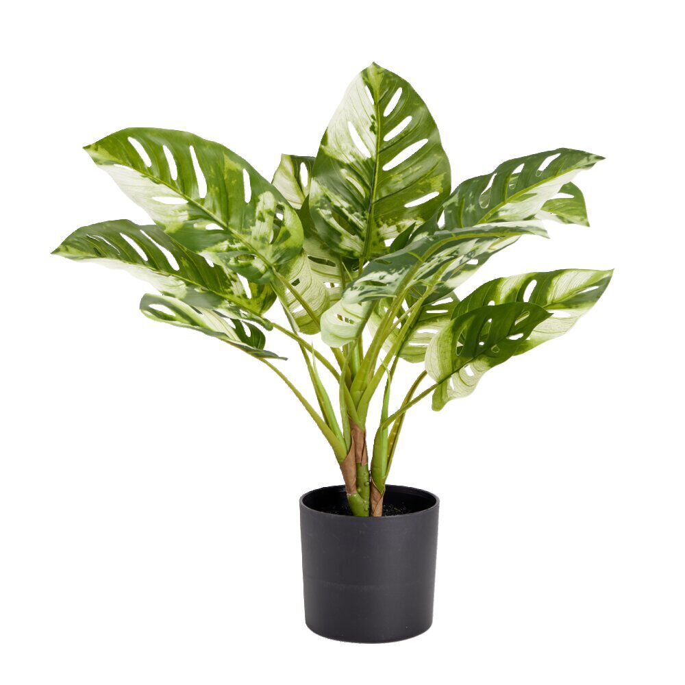 Plante artificielle en pot monstera vert 15 feuilles H50cm - 2 modèles