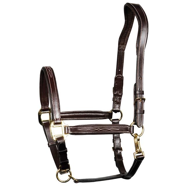 Halster Harry's Horse Supreme Leer Bruin