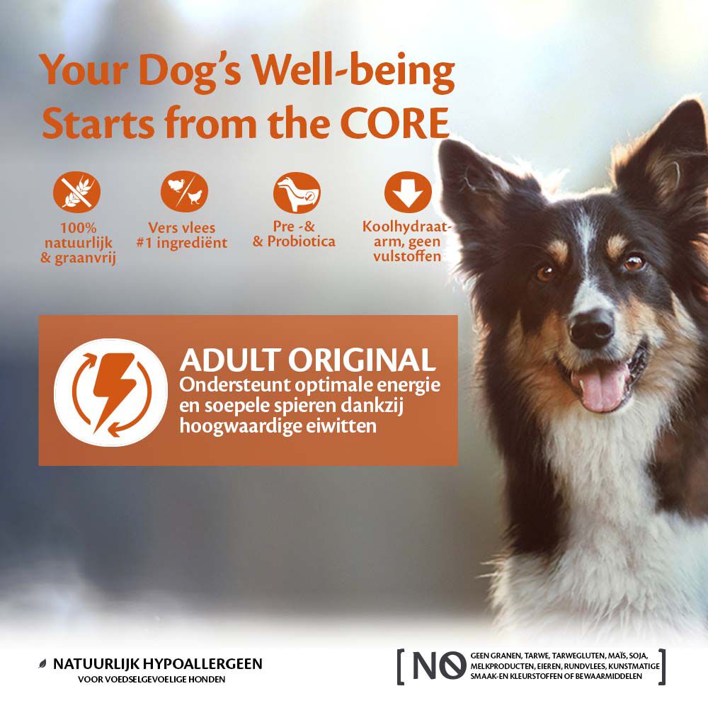 Wellness CORE Adult original Medium-Breed - Hondenvoer - 10 Kilogram - kalkoen, kip