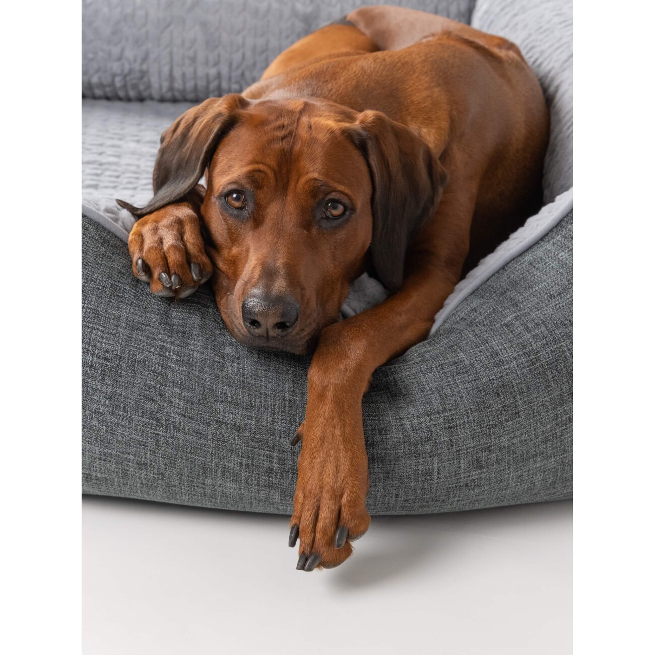 TrendPet VitaBed Classic orthopädisches Hundebett grau S