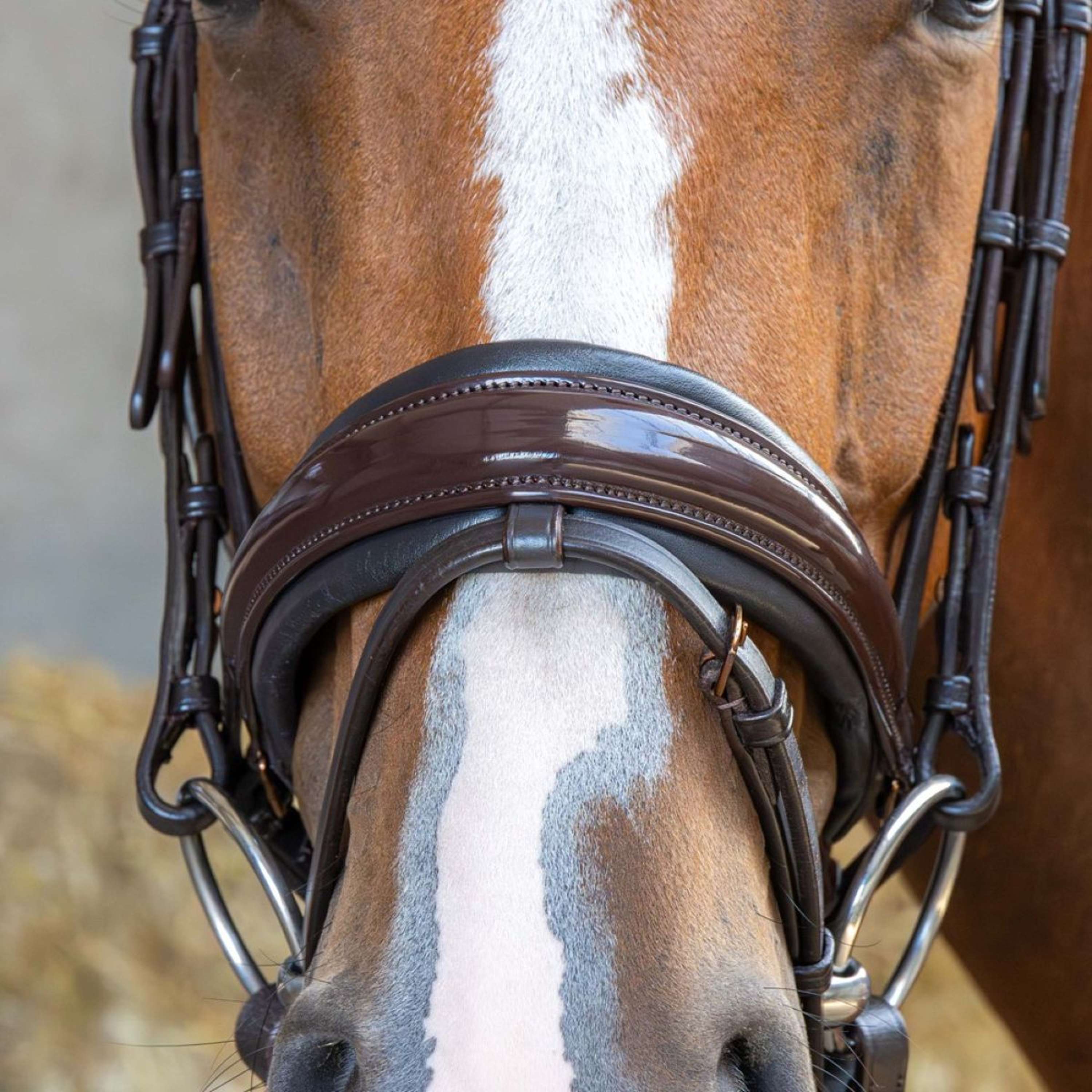 Harry's Horse Hoofdstel Copper Bruin