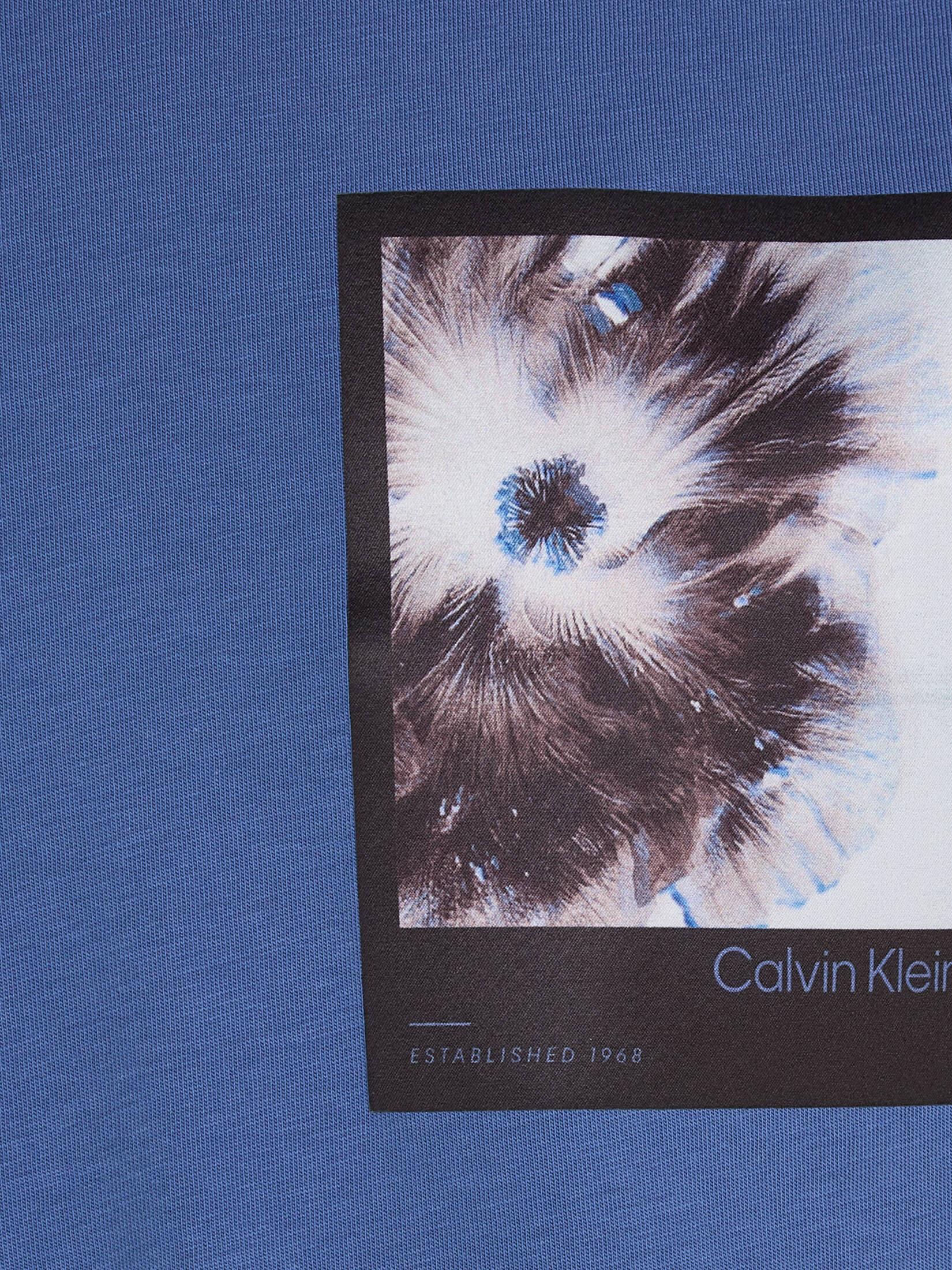 CALVIN KLEIN| Herren T-Shirt