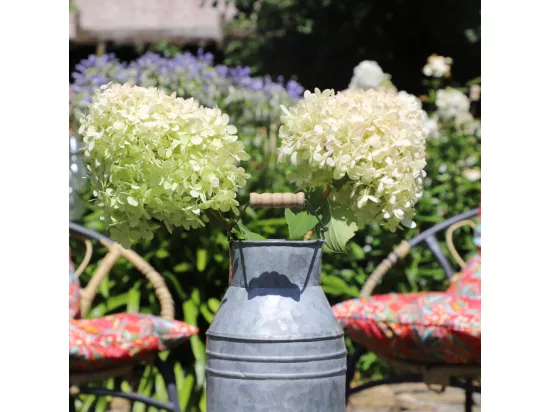 Pot à lait ancien décoratif jardin extérieur zinc gris 24 x 14 cm