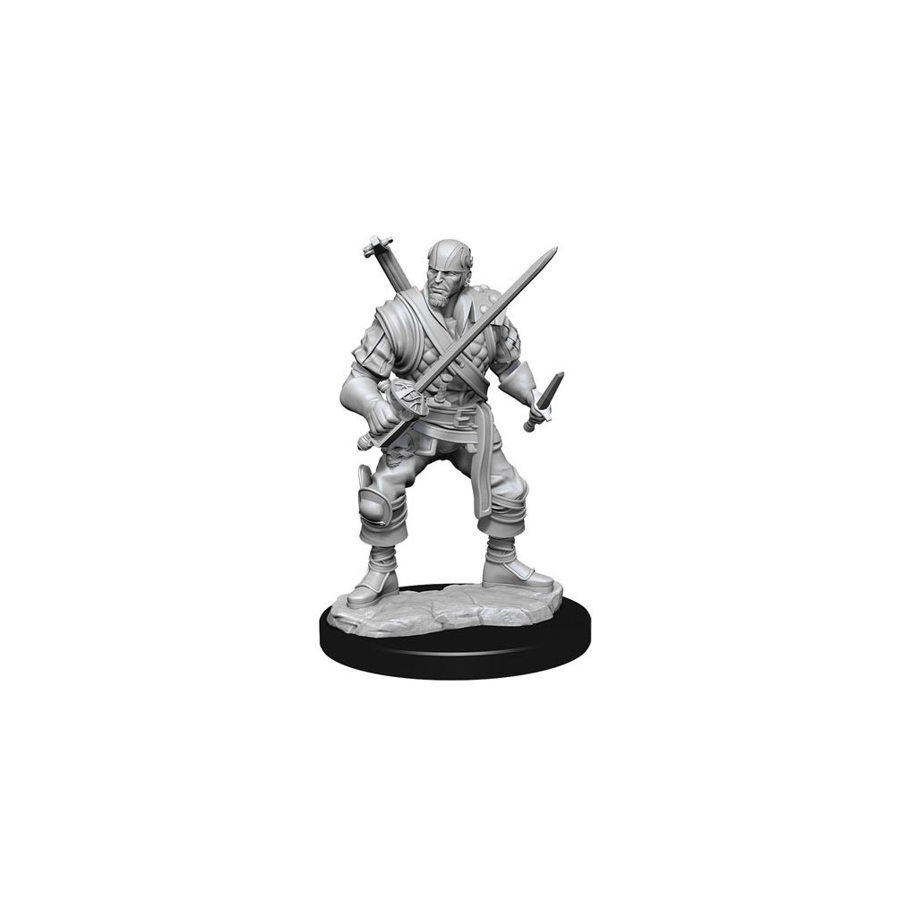 D&D Nolzur's Marvelous Unpainted Miniatures: Male Human Bard