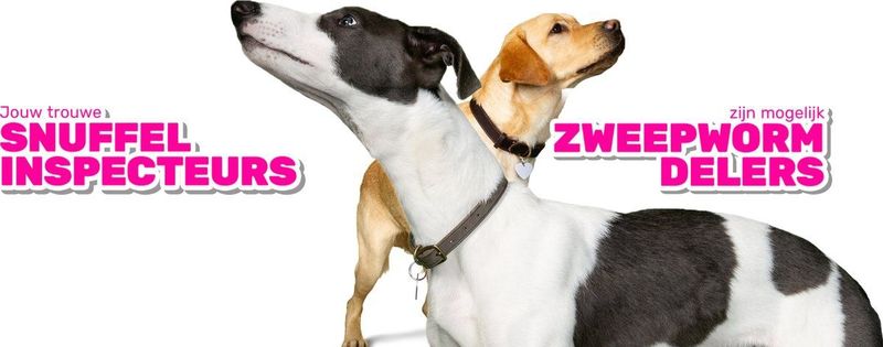 Milbemax Ontworming Kauwtabletten Hond 1 - 5 kg 4 tabletten
