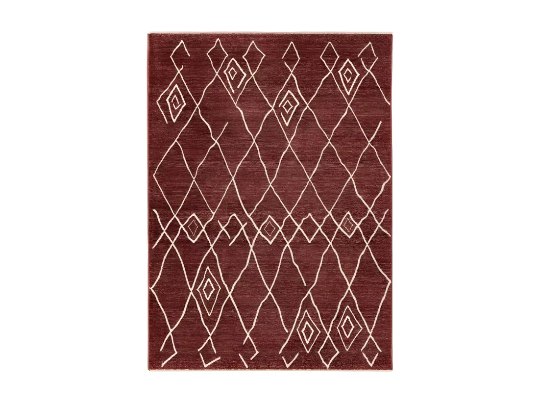Tapis 230x160cm, design A205R coloris terracotta - Confort et élégance pour votre intérieur