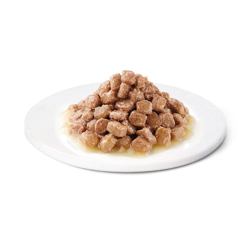 Advance Kitten poulet pour chaton