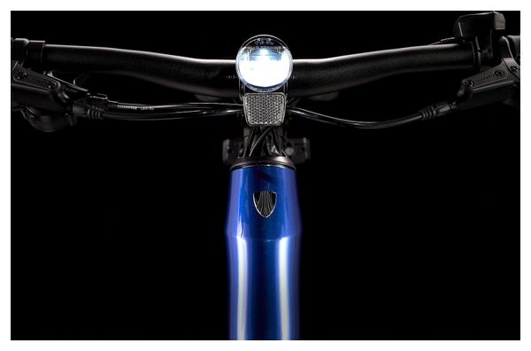 Vélo de Fitness Électrique Trek Dual Sport  2 Shimano Altus 9V 250 Wh 650 mm Bleu