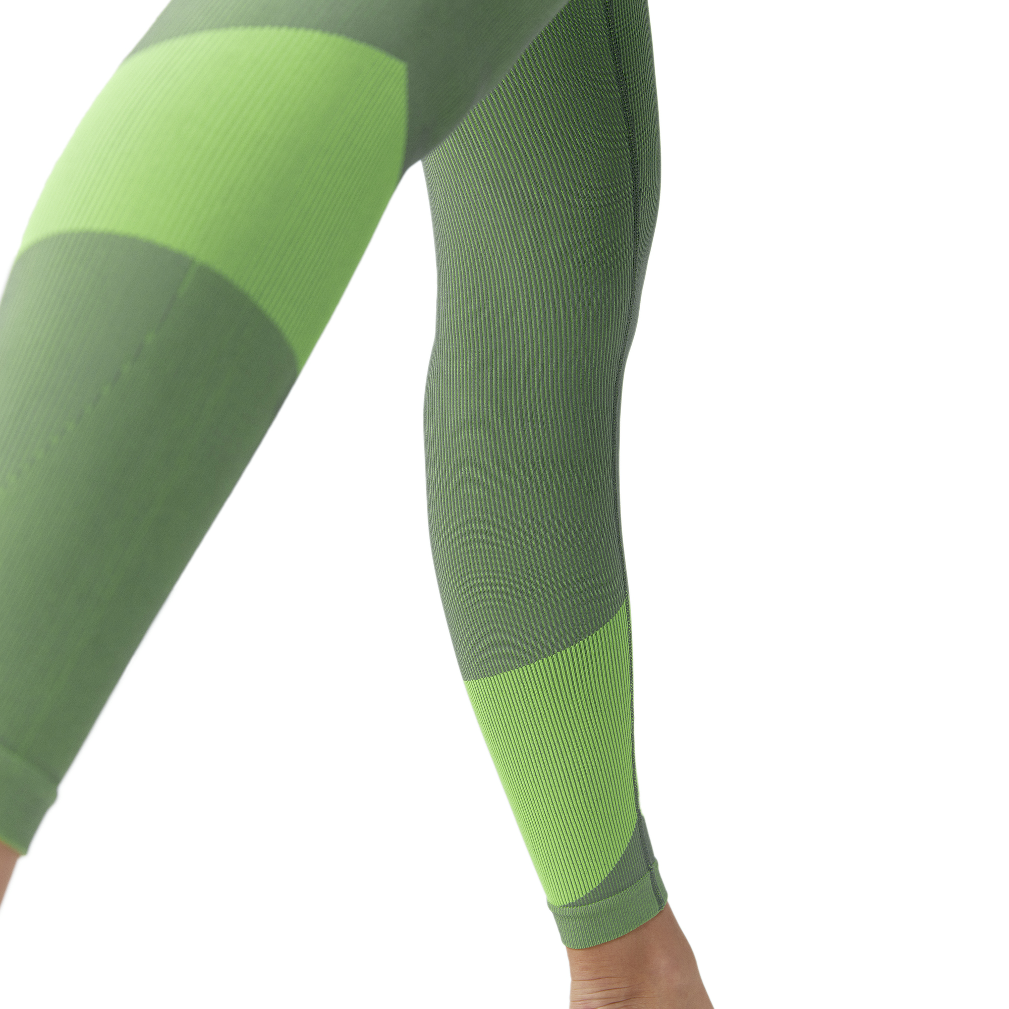 AILA - Legging sans couture aila | Vert