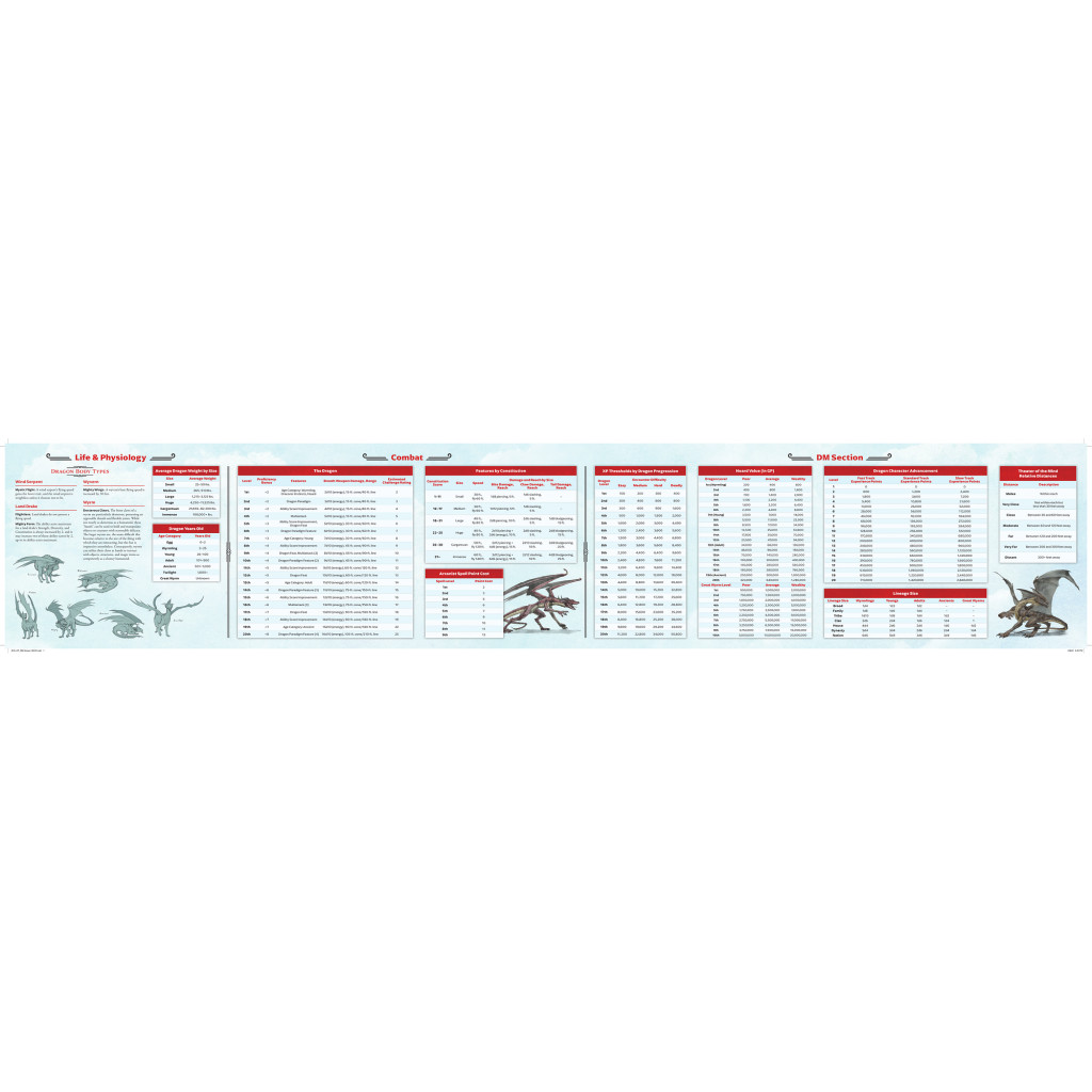 Dragonflight 5E - DM Screen