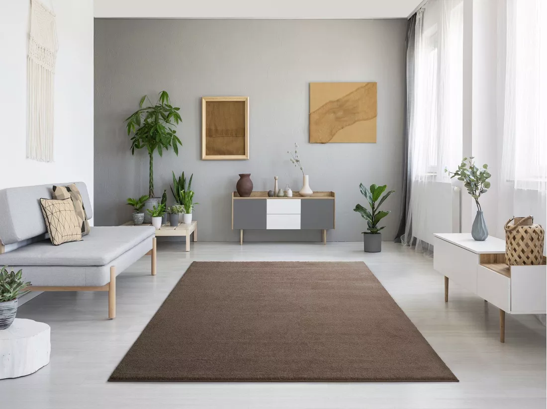 Tapis intérieur - uni - beige - 160 x 230 cm - MONTANA