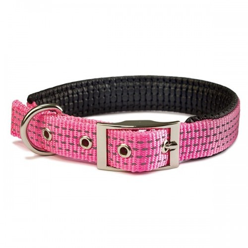 Coleira lisa de náilon para cães, rosa