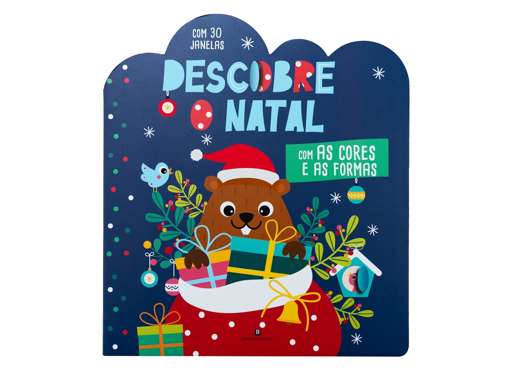 LIVRO DESCOBRE O NATAL - COM A CAROTTE ET COMPAGNIE