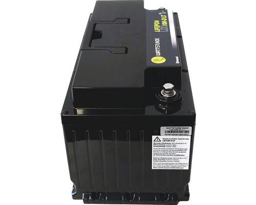 WATTSTUNDE Lithium 100Ah LiFePO4 accu LIX100D-LT (DIN) met Bluetooth interface