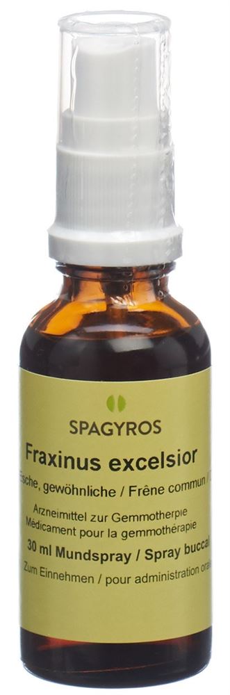 Spagyros Fraxinus excelsior Glyc Maz 1 D Spr 30 ml