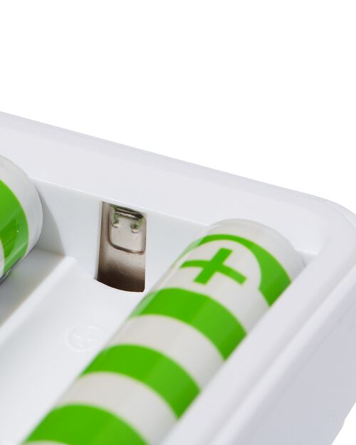 chargeur de batterie avec 4 piles AA comprises