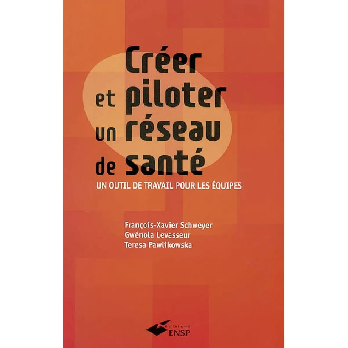 Créer et piloter un réseau de santé : un outil de travail pour les équipes · Occasion