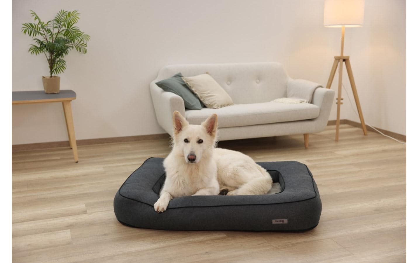 Hunde-Bett Platin Ortho eckig M, GrauOrthopädisches Hundebett